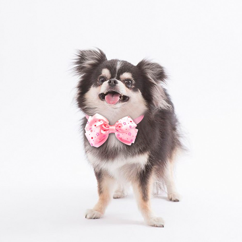 10pcs Dog Cat Bow Tie Dog  Accessories Kitten - Waldessae, the best pet supplies ever