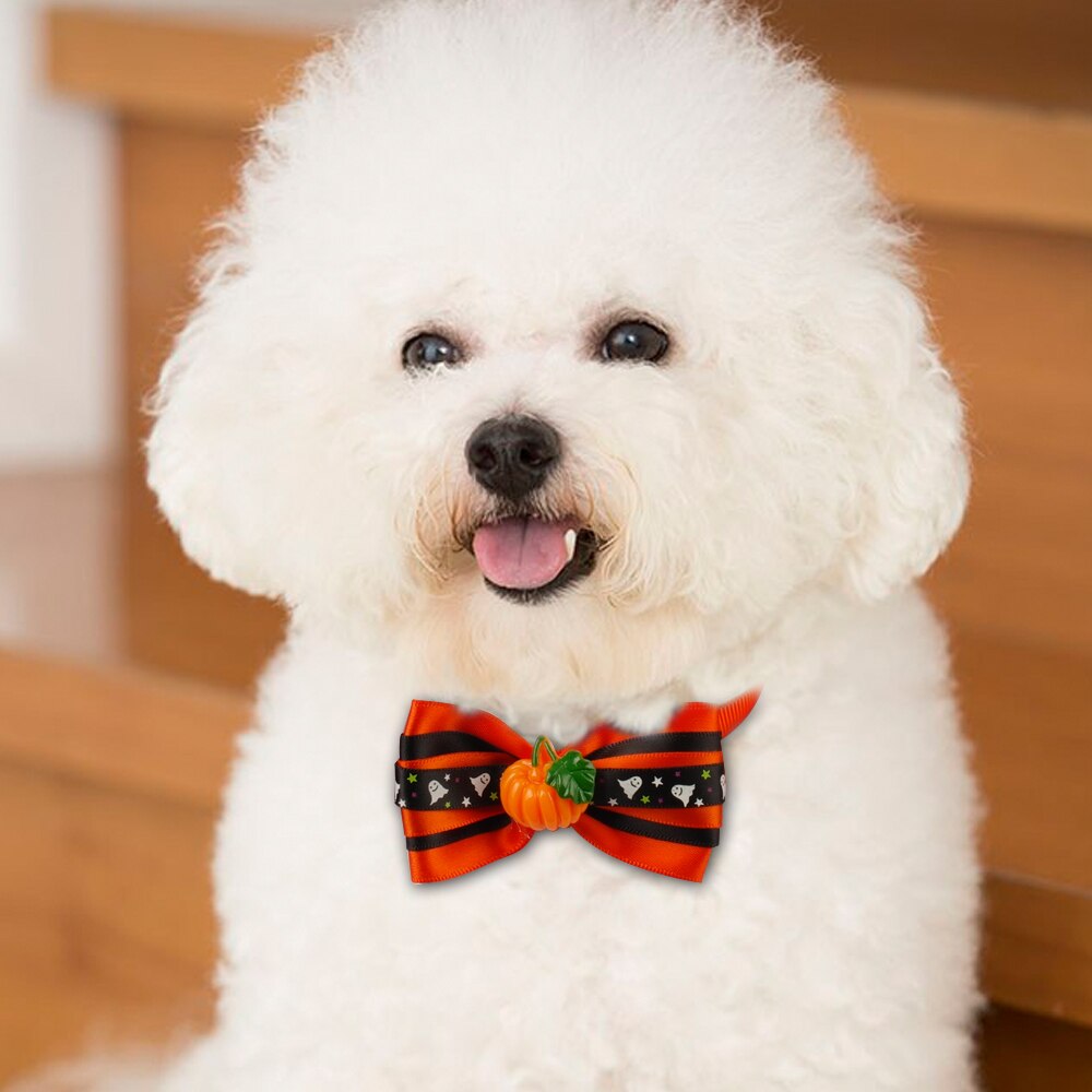 10pcs Dog Cat Bow Tie Dog  Accessories Kitten - Waldessae, the best pet supplies ever