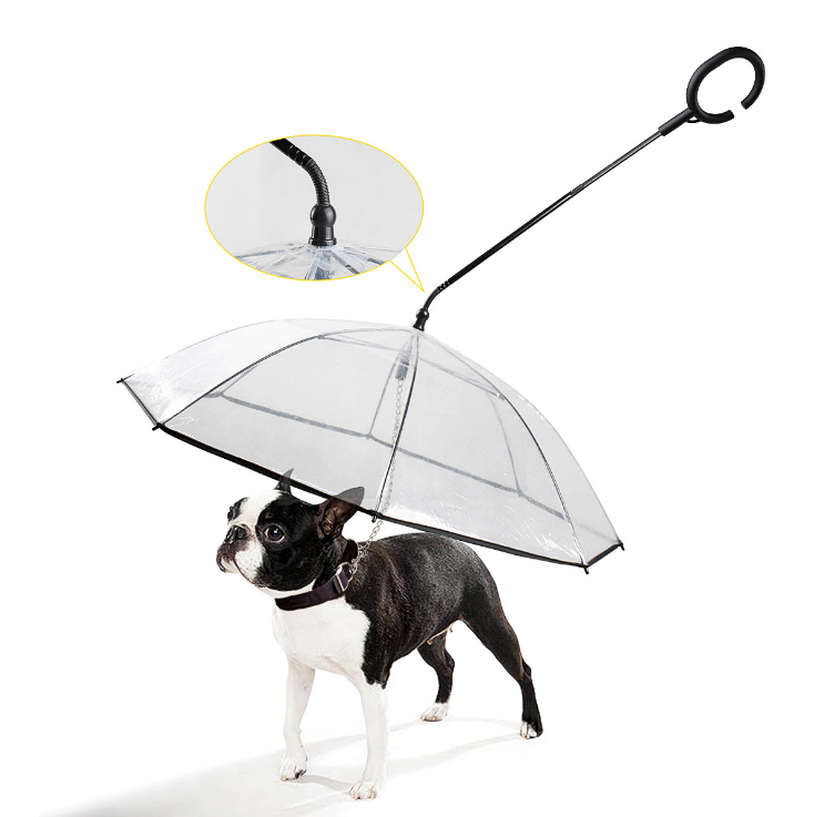 Hot Selling Transparent Pet Supplies Adjustable Pet Umbrella - Waldessae, the best pet supplies ever