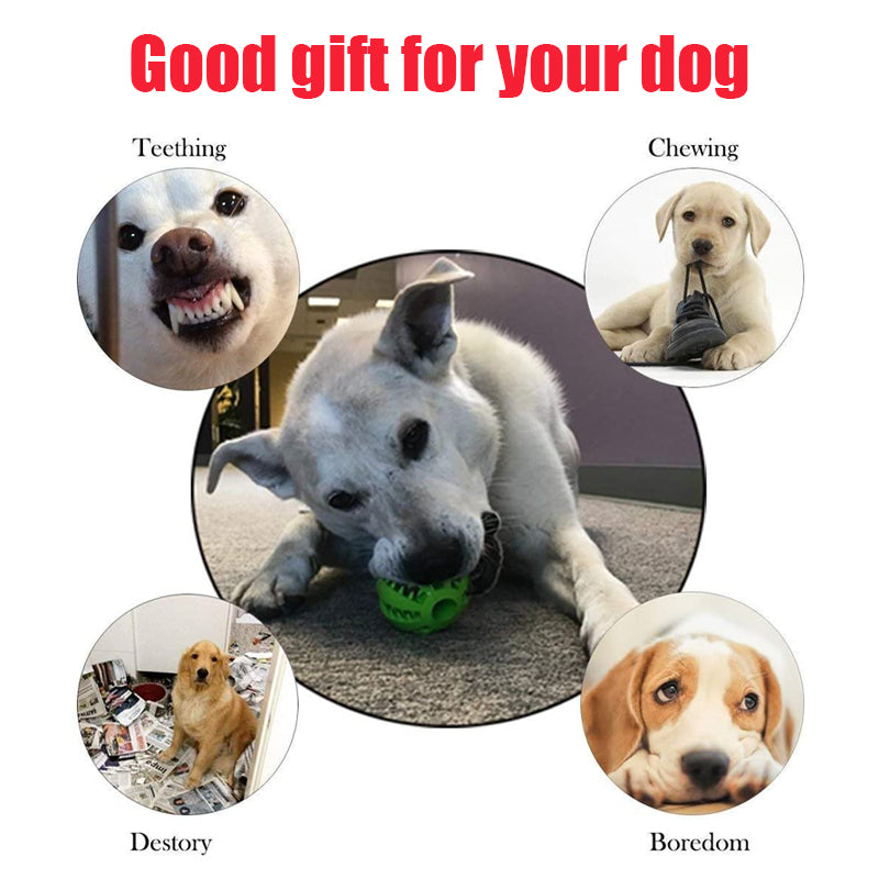 5/7cm Toys for Dogs Rubber Dog Ball For Puppy Funny Dog Chew Toys - Waldessae, the best pet supplies ever