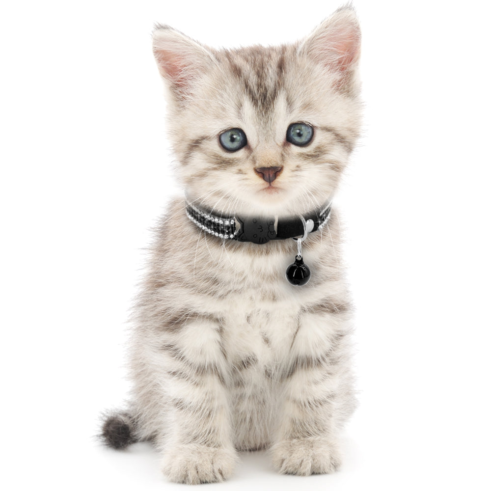 Cat Collar Crystal Cats Accessories Pets Dog Quick - Waldessae, the best pet supplies ever