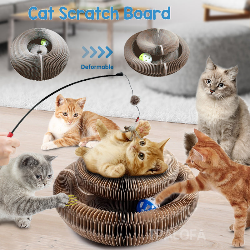 Cat Scratch Board Magic Organ Cat Scratching Board Cat Toys With - Waldessae, the best pet supplies ever