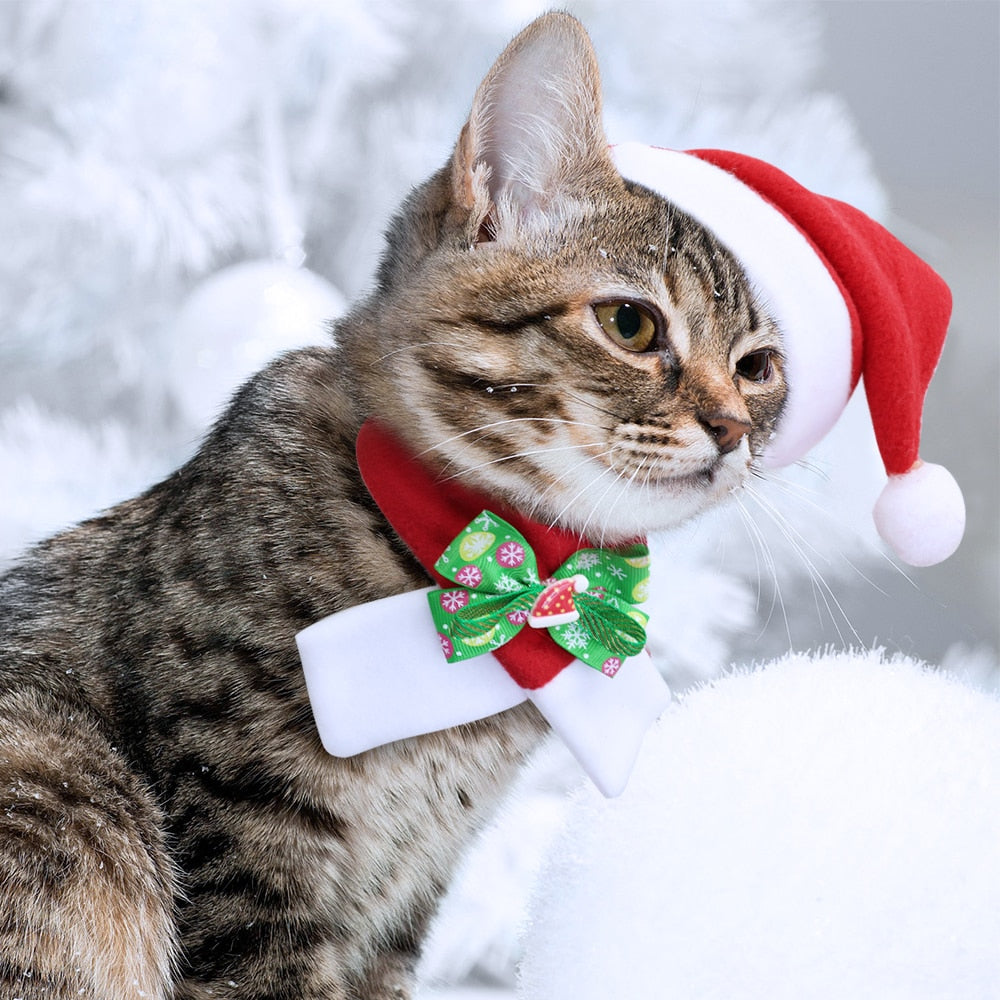 Christmas Dog Cat Hat Scarf Set Pet Accessories - Waldessae, the best pet supplies ever
