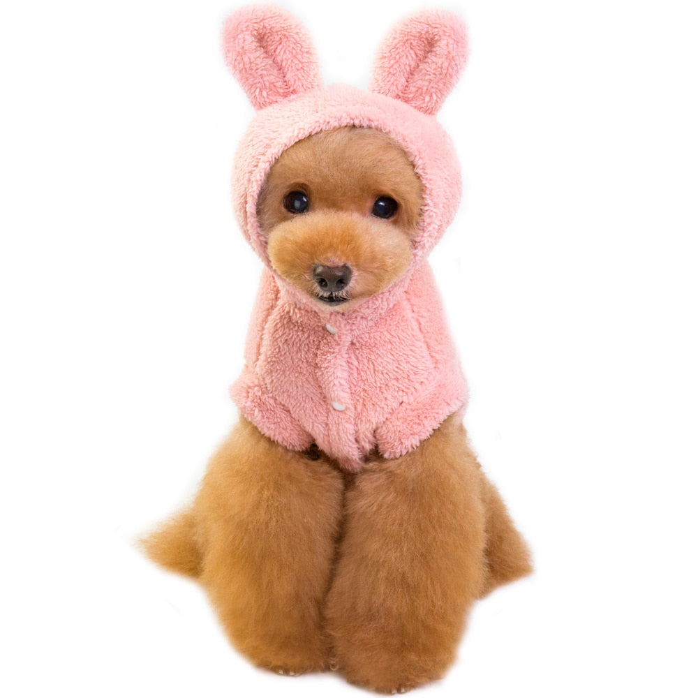 Cute Dog Cat Puppy Clothes Chihuahua Clothing - Waldessae, the best pet supplies ever