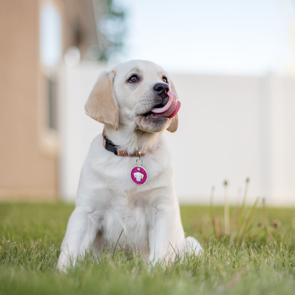 Dog Tag Engraved Pet id Tags Collar Accessories - Waldessae, the best pet supplies ever