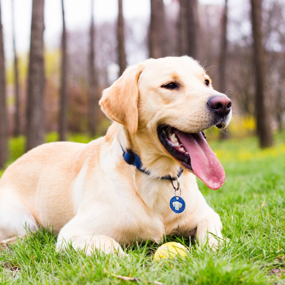 Dog Tag Engraved Pet id Tags Collar Accessories - Waldessae, the best pet supplies ever
