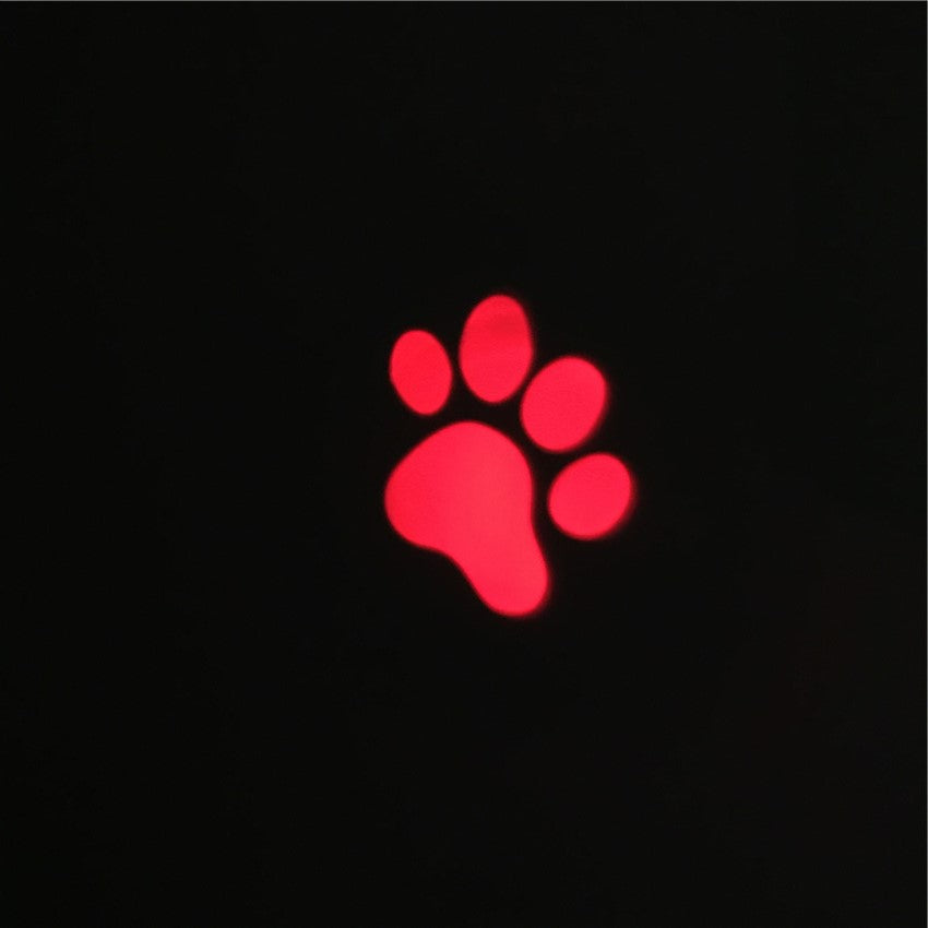 Funny Pet Led Laser Toy Cat Laser Toy Cat Pointer Light Pen - Waldessae, the best pet supplies ever