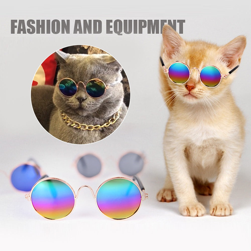 Handsome Pet Cat Glasses Eye wear Sunglasses For Small Dog Cat Pet - Waldessae, the best pet supplies ever