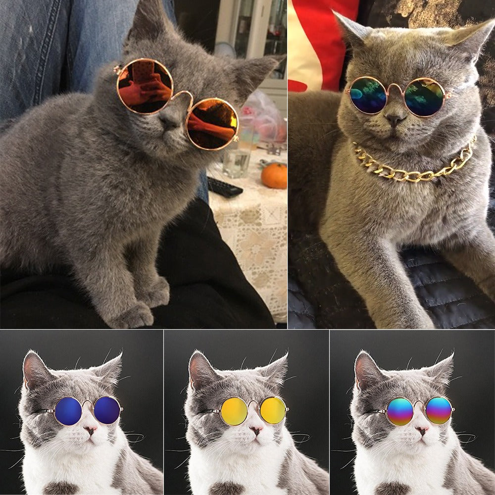 Handsome Pet Cat Glasses Eye wear Sunglasses For Small Dog Cat Pet - Waldessae, the best pet supplies ever