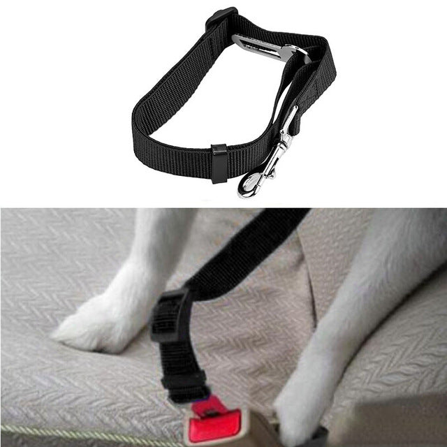 New waist pet dog leash running jogging puppy dog - Waldessae, the best pet supplies ever