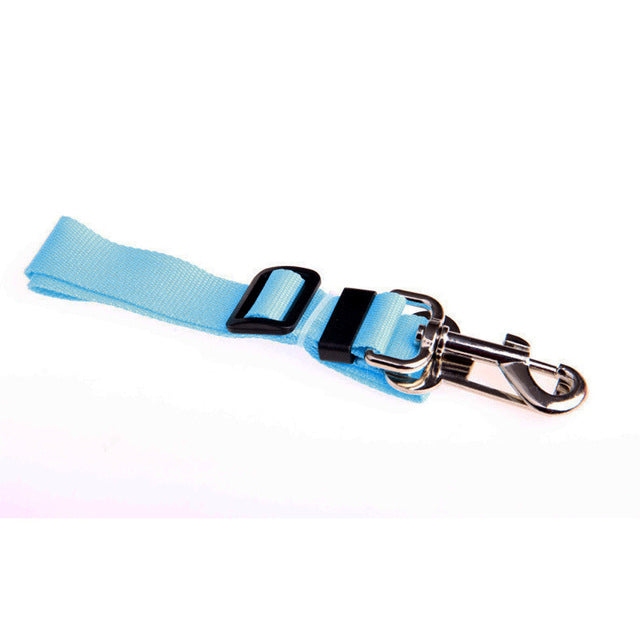 New waist pet dog leash running jogging puppy dog - Waldessae, the best pet supplies ever