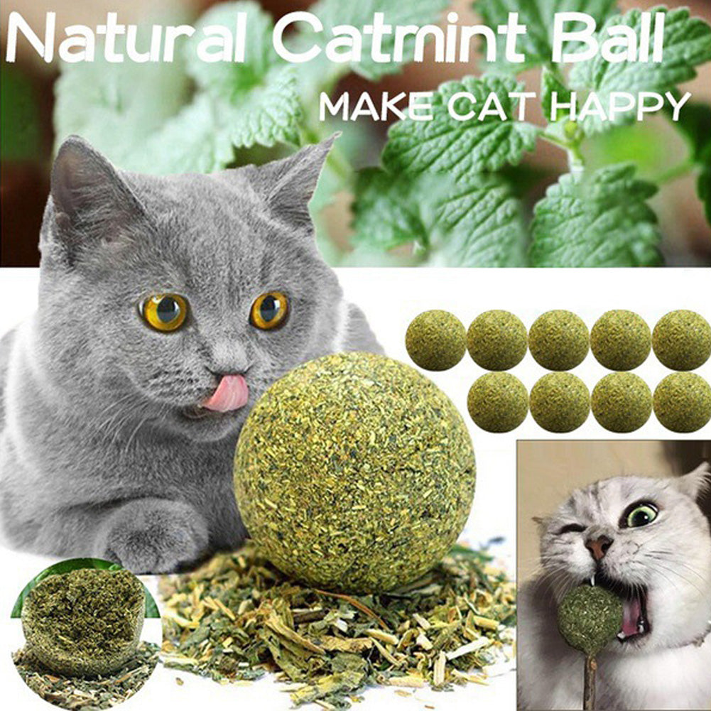 Pet Catnip Toys Edible Catnip Ball Safety Healthy Cat Mint Cats Home - Waldessae, the best pet supplies ever