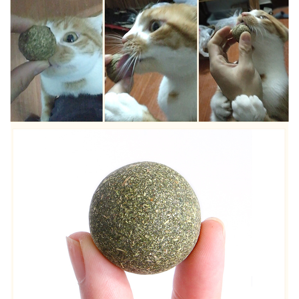 Pet Catnip Toys Edible Catnip Ball Safety Healthy Cat Mint Cats Home - Waldessae, the best pet supplies ever