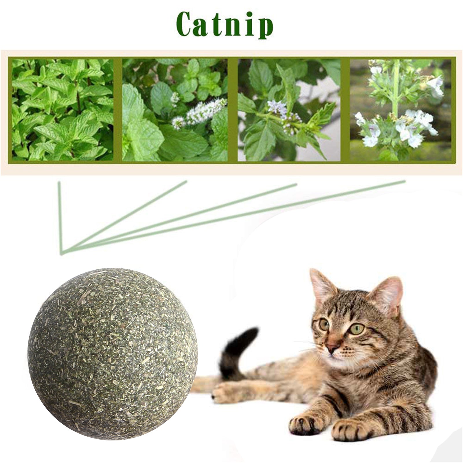 Pet Catnip Toys Edible Catnip Ball Safety Healthy Cat Mint Cats Home - Waldessae, the best pet supplies ever