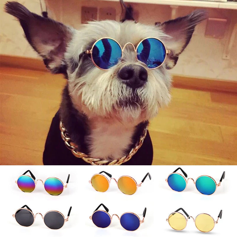 Pet Products Lovely Vintage Round Cat Sunglasses Reflection Eye Wear - Waldessae, the best pet supplies ever