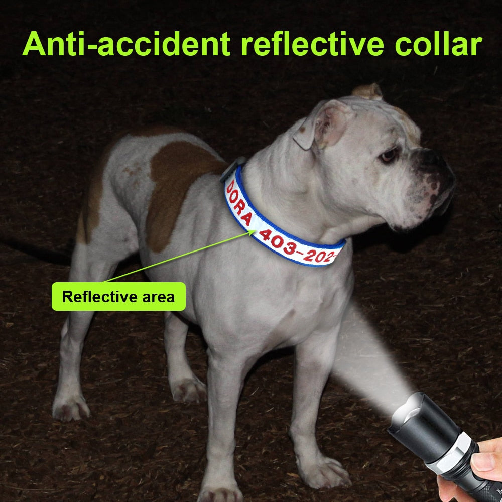 Reflective Custom Dog Collar Personalized - Waldessae, the best pet supplies ever