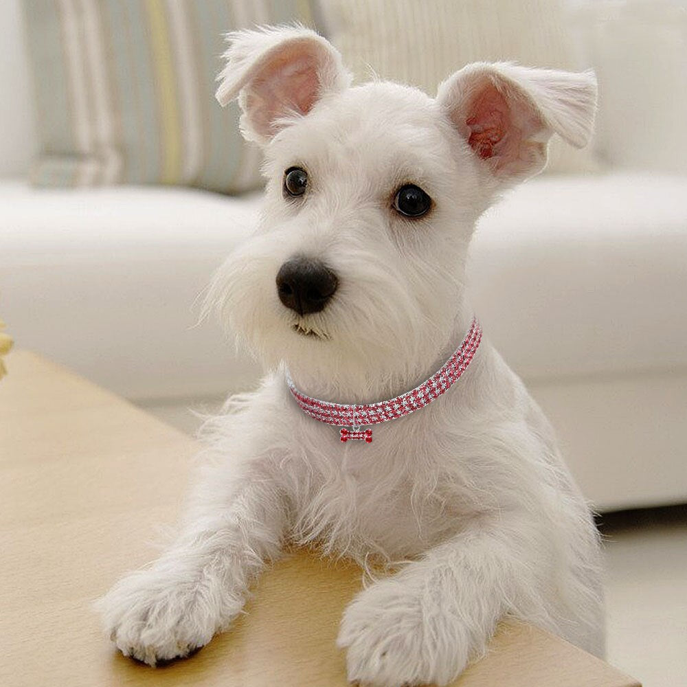 Rhinestone Dog Necklace Collar Pet Dog Accessories - Waldessae, the best pet supplies ever