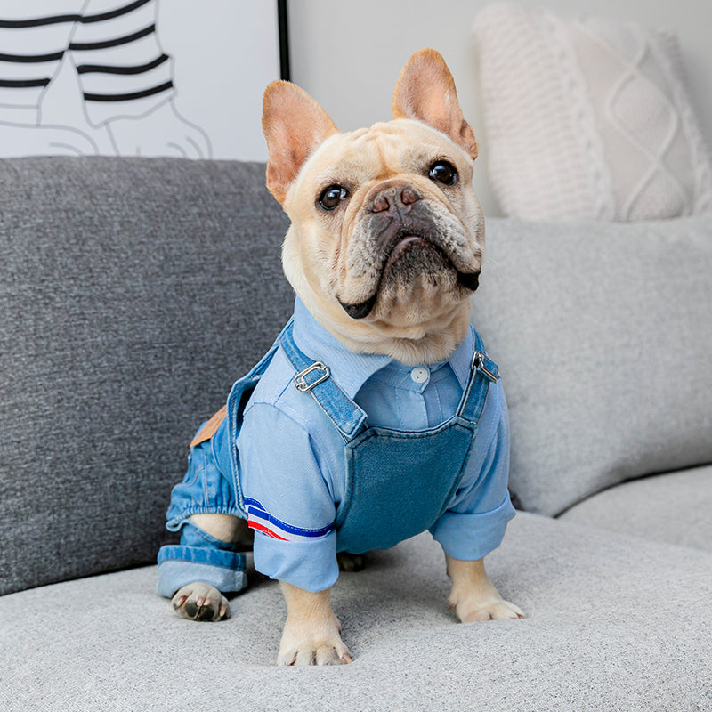 Summer Pet Clothes New Fashion Dog Vest Denim One Piece Dog Shirt Pug - Waldessae, the best pet supplies ever