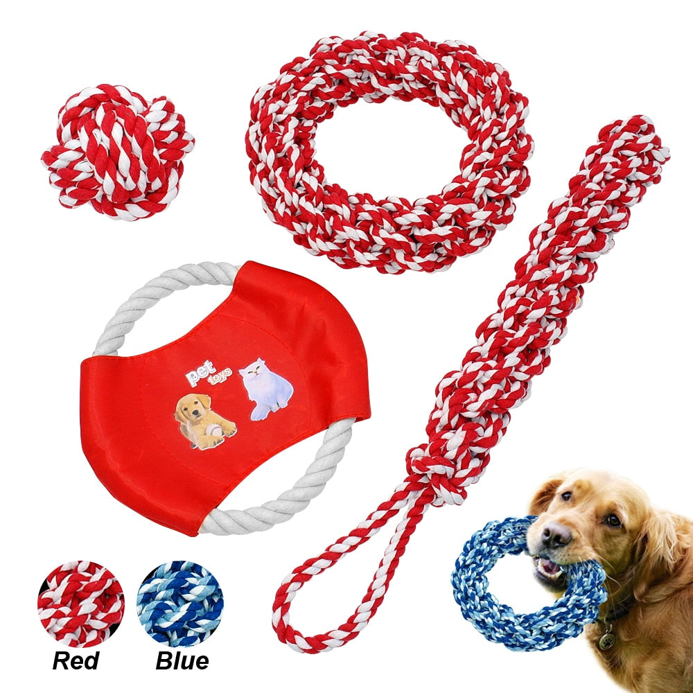 Toys for Dogs Dog Puppy Ball Pet Interactive Toy - Waldessae, the best pet supplies ever