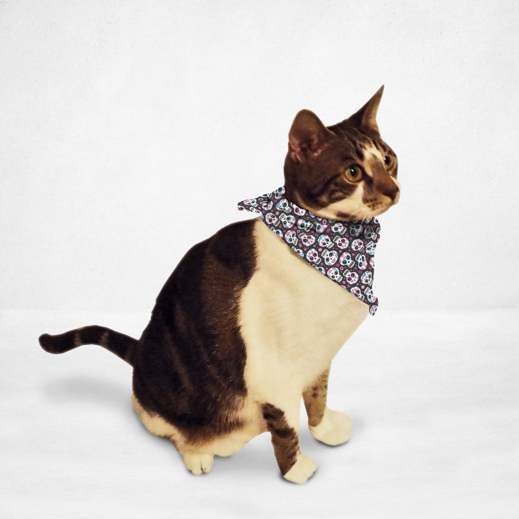 Sugar Skulls Cat & Dog Bandana - Waldessae, the best pet supplies ever