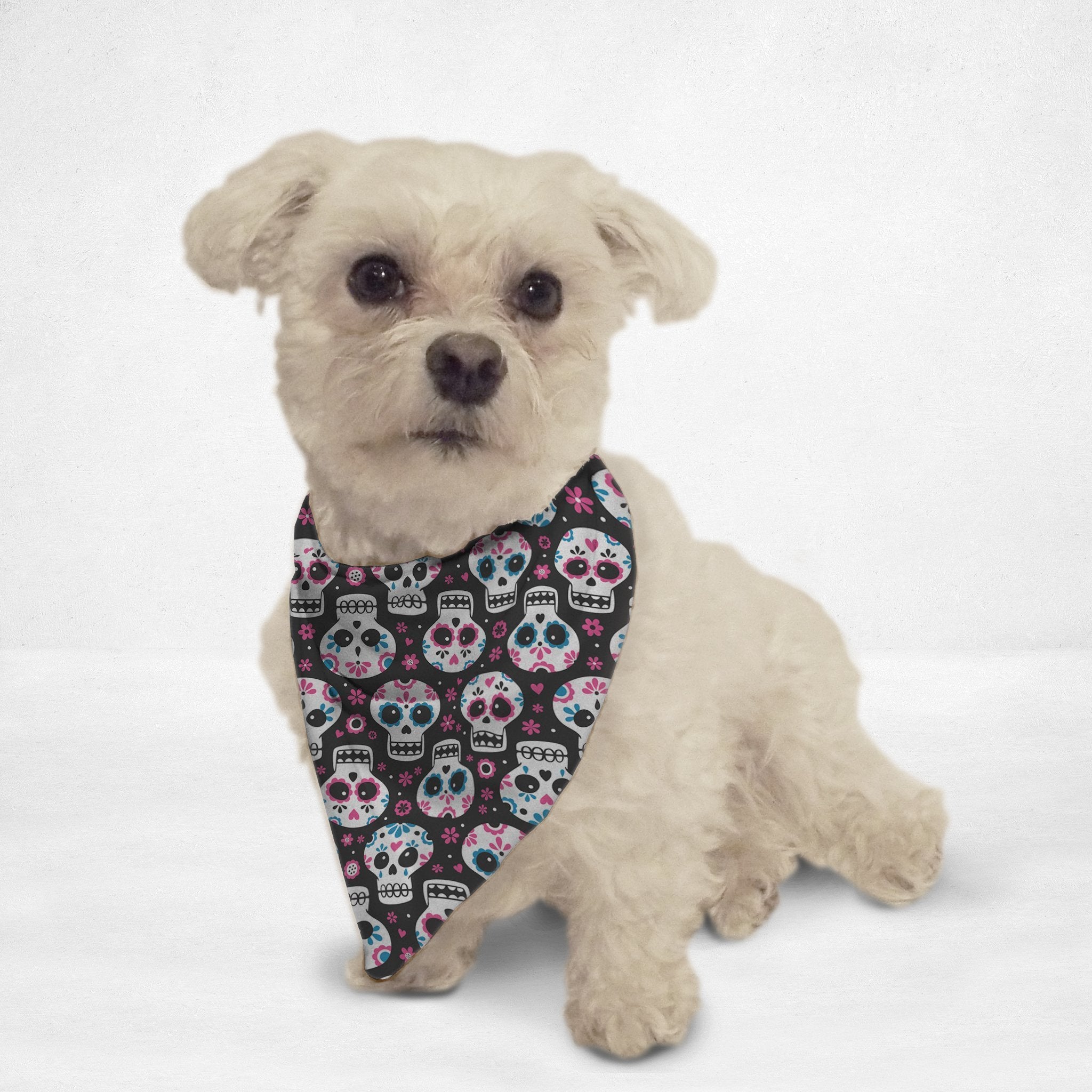 Sugar Skulls Cat & Dog Bandana - Waldessae, the best pet supplies ever