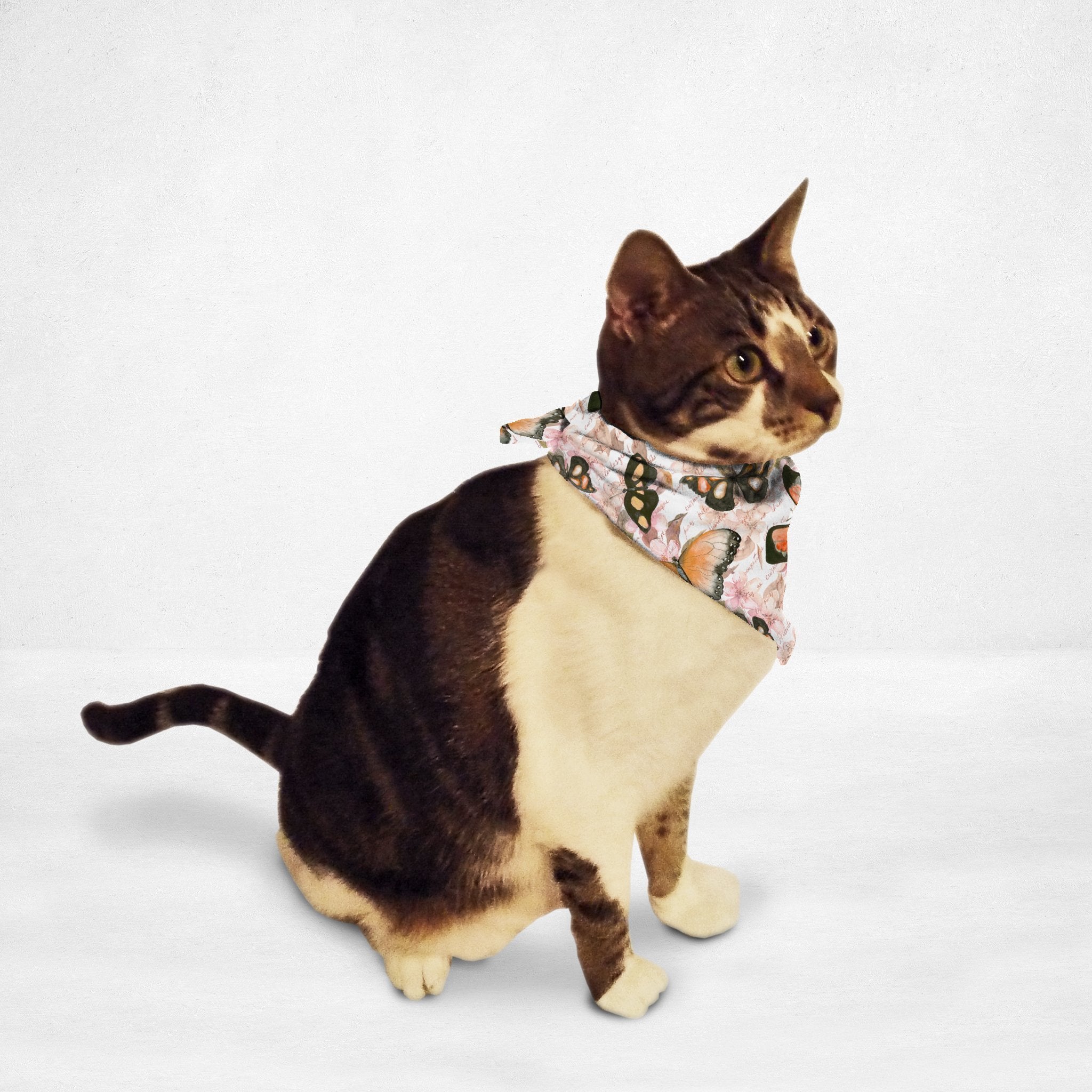 Watercolor Butterflies Cat & Dog Bandana - Waldessae, the best pet supplies ever