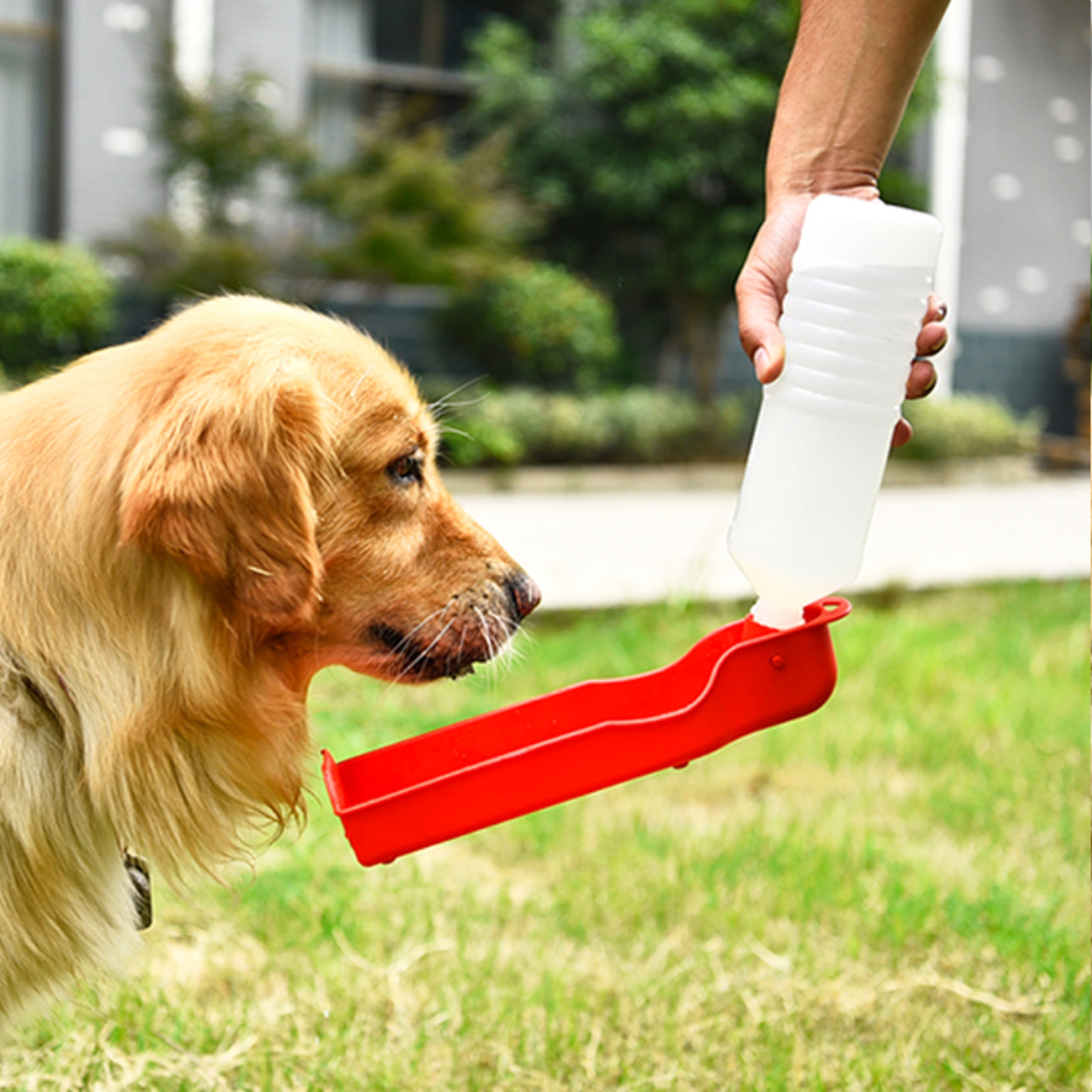 Portable Pet Travel Water Bowl Bottle Feeder Drinking Fountain - Waldessae, the best pet supplies ever