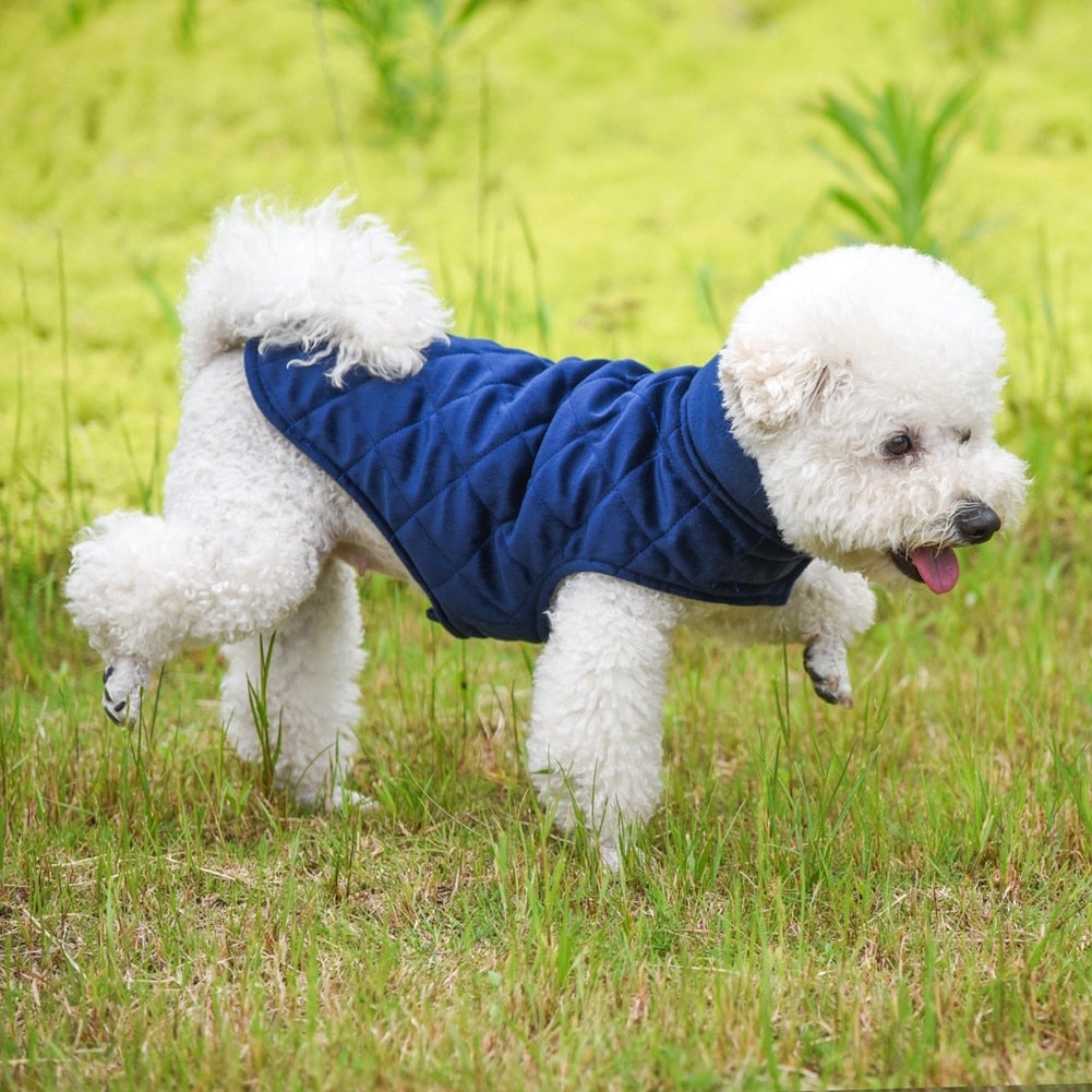 Dogs Winter Warm Vest - Waldessae, the best pet supplies ever