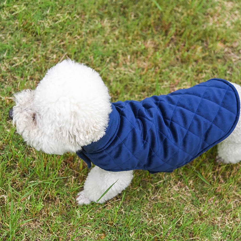 Dogs Winter Warm Vest - Waldessae, the best pet supplies ever