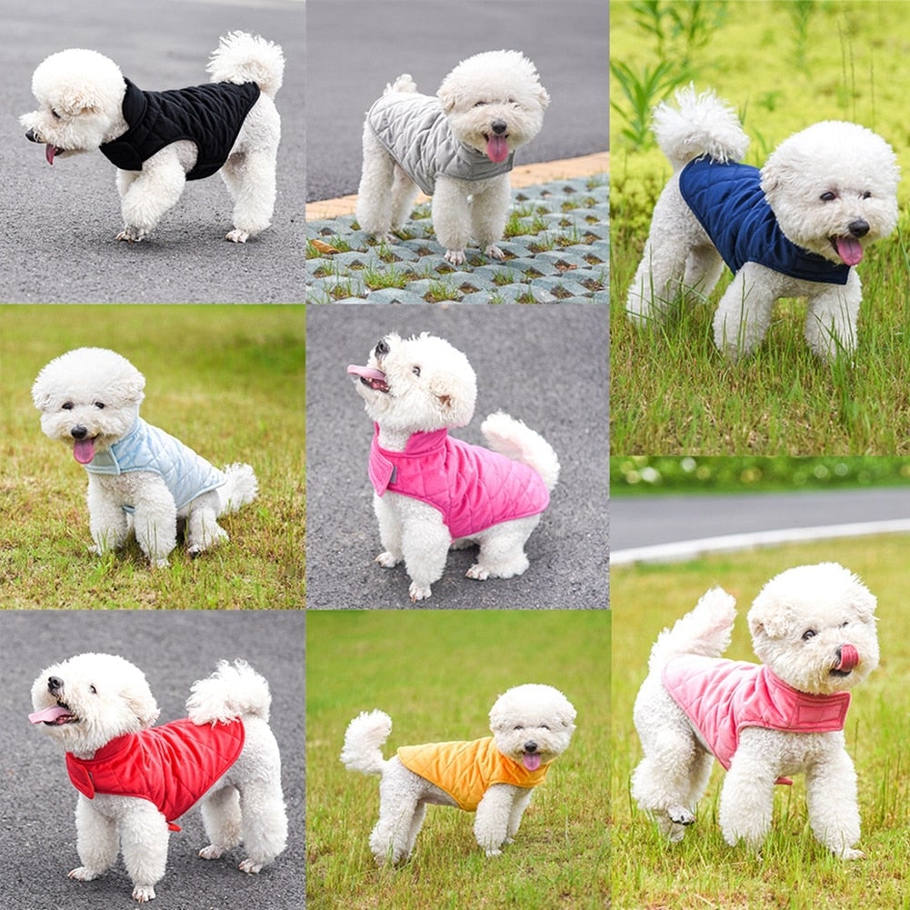 Dogs Winter Warm Vest - Waldessae, the best pet supplies ever