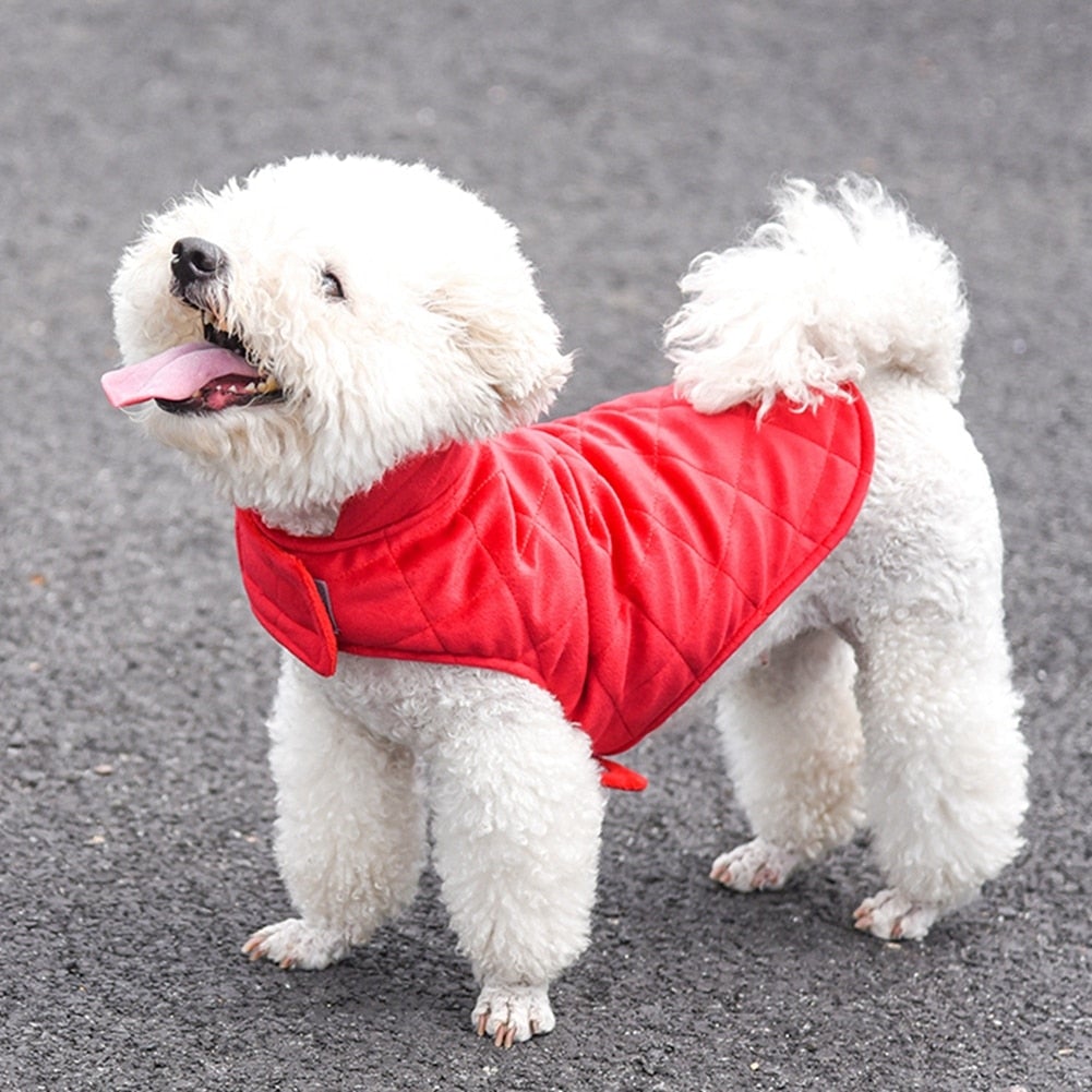 Dogs Winter Warm Vest - Waldessae, the best pet supplies ever