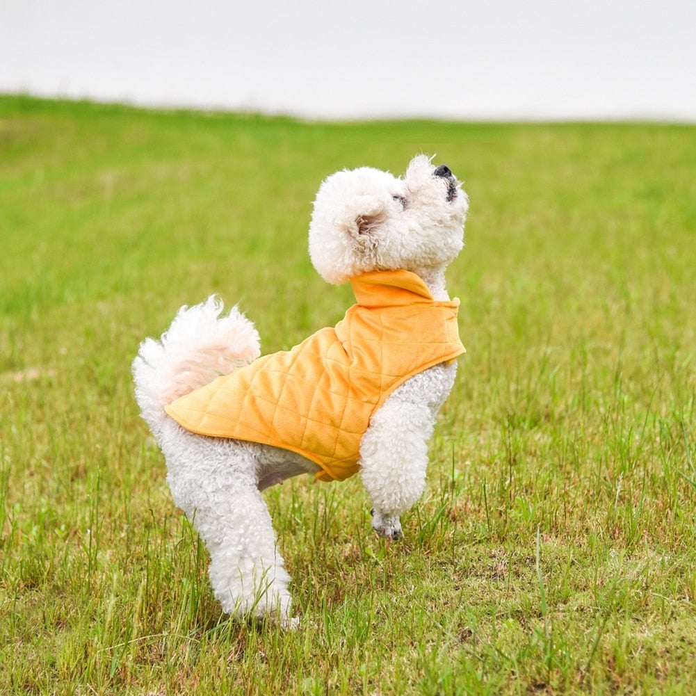 Dogs Winter Warm Vest - Waldessae, the best pet supplies ever